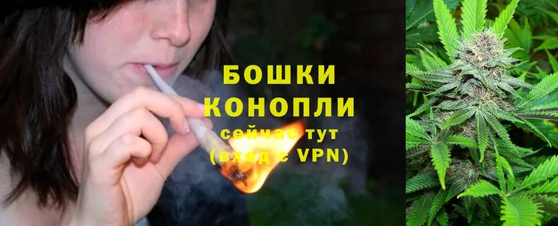 Шишки марихуана THC 21%  omg сайт  Устюжна 